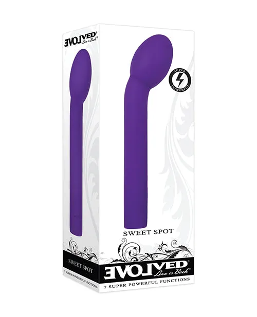 Vibrators Evolved Novelties INC Evolved Sweet Spot Purple