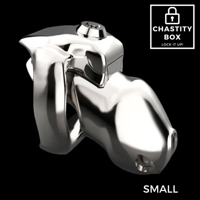 CB Store Male Sex Toys Lockdown Pro Steel