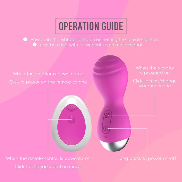 Kelly Kegel Egg Vibrator FRISKY BUSINESS SG Female Sex Toys