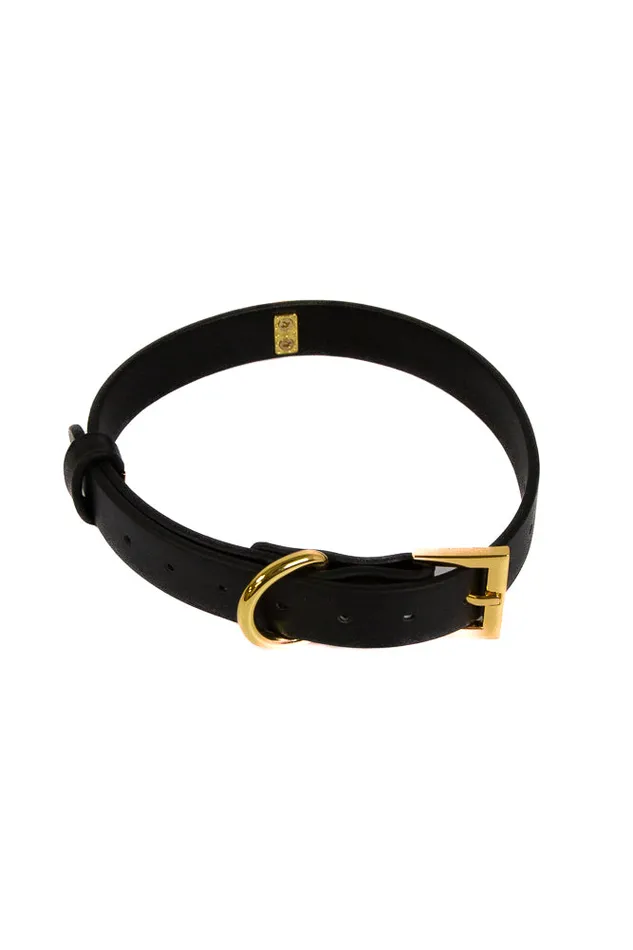 NS Novelties Anal NS Novelties Fetish Fashion Cara Collar BlackGold