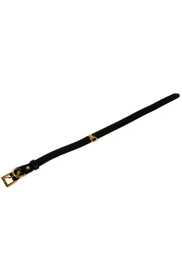 NS Novelties Anal NS Novelties Fetish Fashion Cara Collar BlackGold