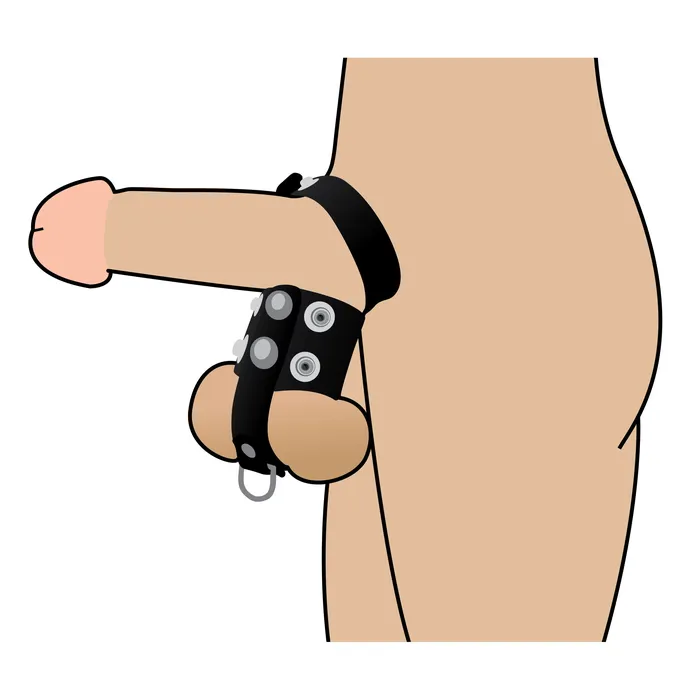 Male Sex Toys Strict Cock Strap and Ball Stretcher