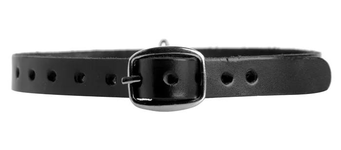 Strict Leather Unisex Leather Choker with ORing ML Male Sex Toys
