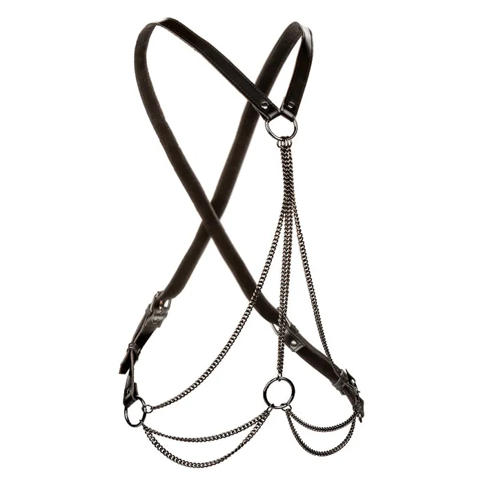 2024 Holiday Sale Specials Plus Size Euphoria Collection Plus Size Multi Chain Harness Black 2024 Holiday Sale Specials Plus Size Euphoria Collection Plus Size Multi Chain Harness Black