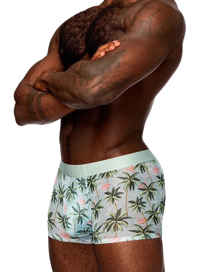 Male Power Sheer Prints Seamless Sheer Short Medium Flamingo Hosiery