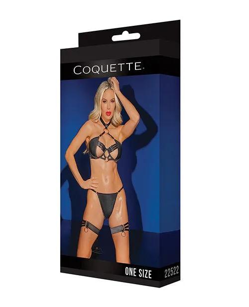 Anal Black Label Adjustable Choker Bra GString Leg Garters Black OS Coquette Black Label Anal Black Label Adjustable Choker Bra GString Leg Garters Black OS Coquette Black Label