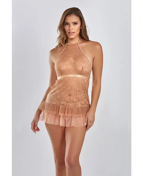 Couples Amber Halter Lace Babydoll wTiered Pleated Mesh Skirt Hem GString Brown MD Icollection Lingerie Couples Amber Halter Lace Babydoll wTiered Pleated Mesh Skirt Hem GString Brown MD Icollection Lingerie