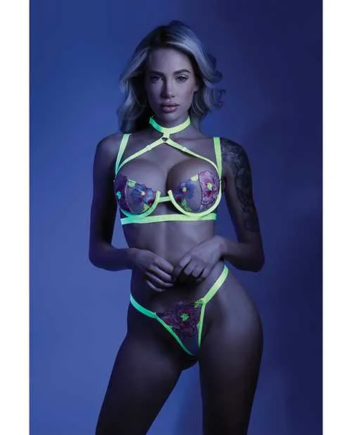 Dildos Glow By Fantasy Lingerie Glow Black Light Embroidered Harness Bra Leg Garterbelt GString Neon Chartreuse ML Dildos Glow By Fantasy Lingerie Glow Black Light Embroidered Harness Bra Leg Garterbelt GString Neon Chartreuse ML