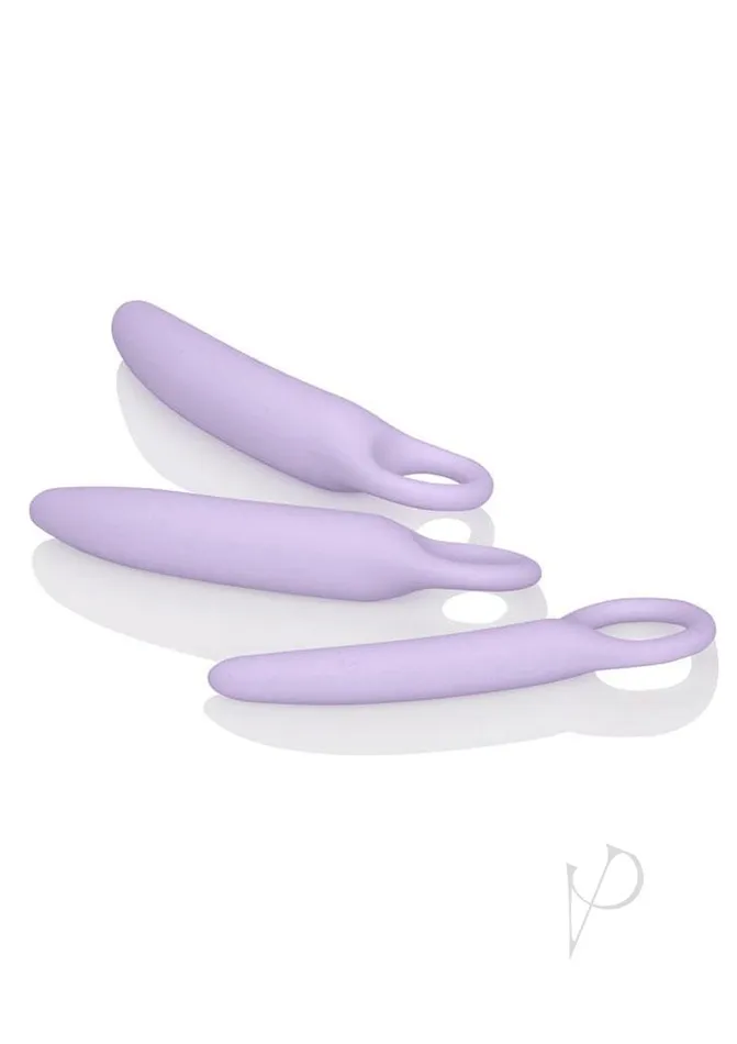 Dr Laura Berman Collection Anal Dr Laura Berman Alena Silicone Dialators Set 3 Piece Kit Purple