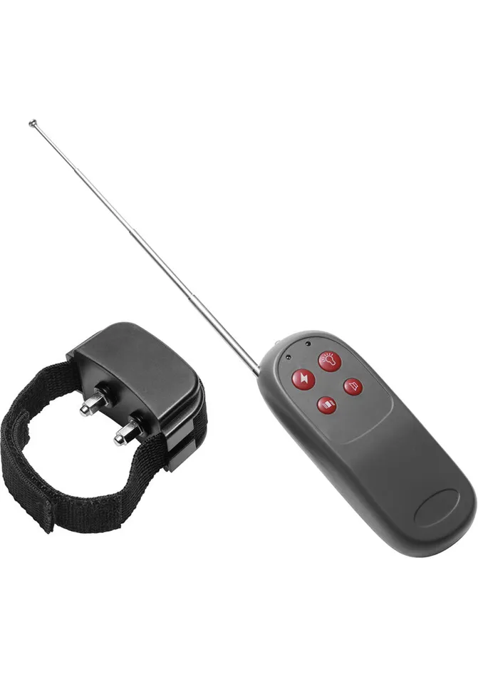 Male Sex Toys Master Series Cock Shock CBT Electric Cock Ring with Remote Control Black Master Series