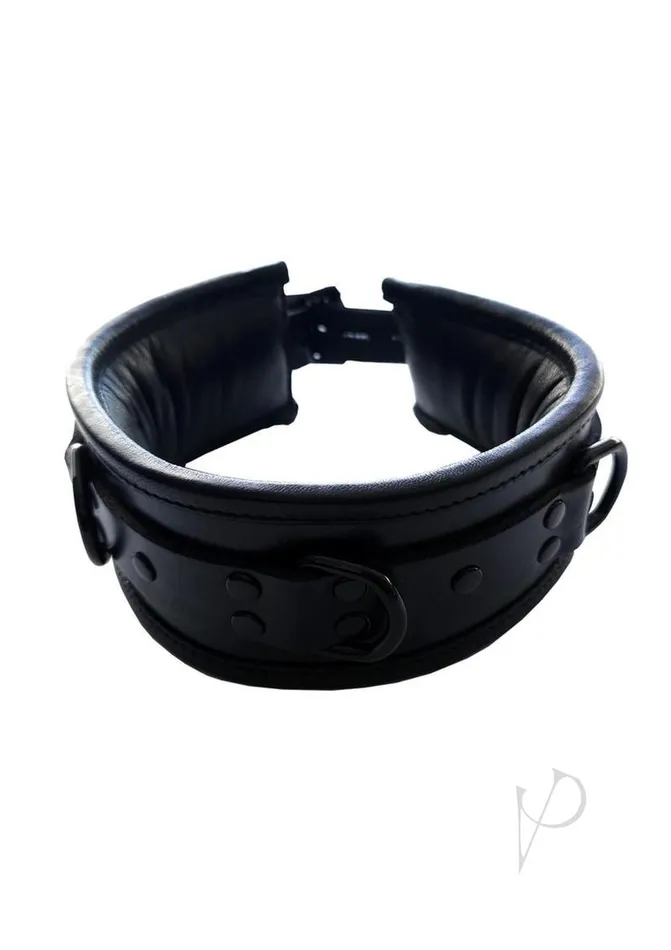 Rouge Restraints Padded Leather Collar Black