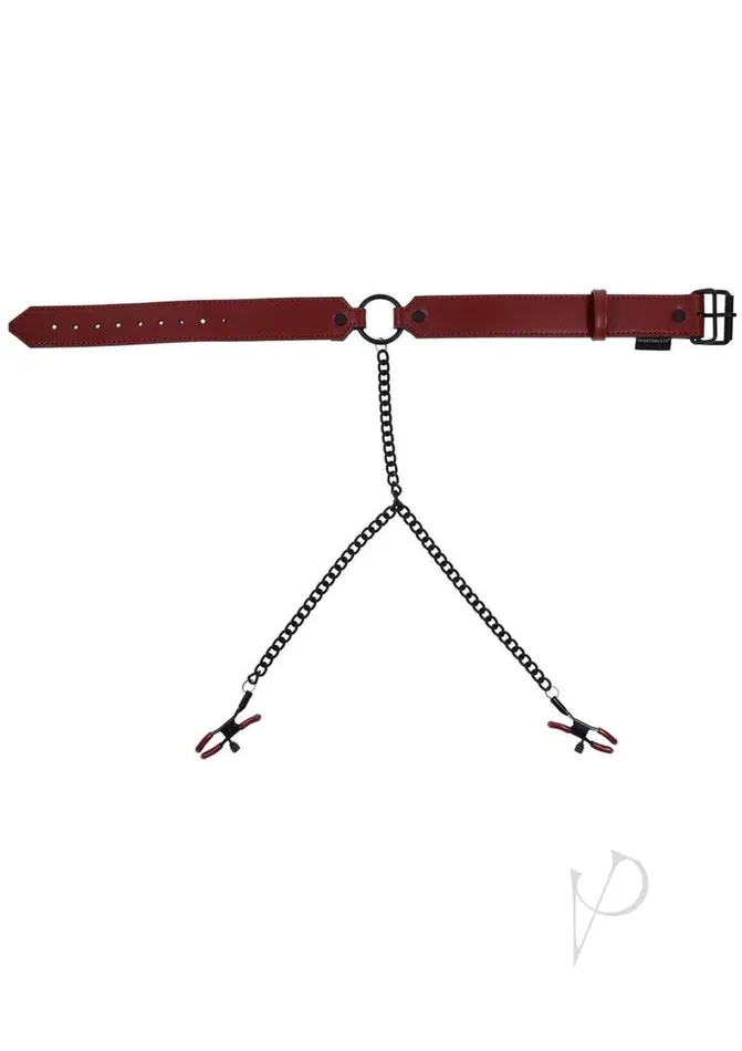 Sportsheets Anal Saffron Collar with Nipple Clamp BlackRed