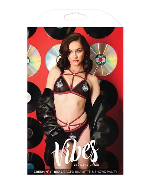 Vibes By Fantasy Lingerie Vibrators Vibes Creepin it Real Caged Bralette Thong Panty Black LXL Vibes By Fantasy Lingerie Vibrators Vibes Creepin it Real Caged Bralette Thong Panty Black LXL
